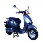 electric scooter e2go 12